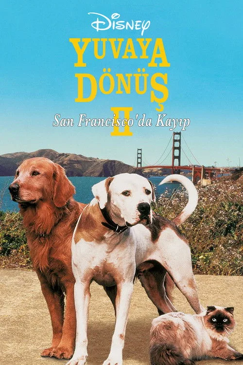 Yuvaya Dönüş II: San Francisco'da Kayıp