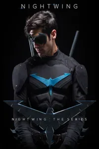 Nightwing: The Series